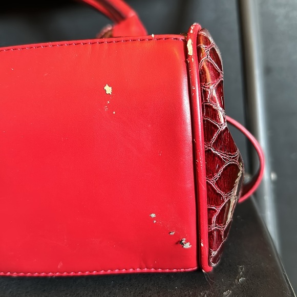 Amparo Purse - Picture 4 of 7